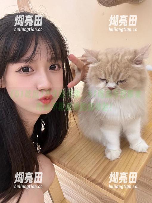 51吃瓜 永久陪伴你,51吃瓜今日带来吃瓜不再孤单的新体验!