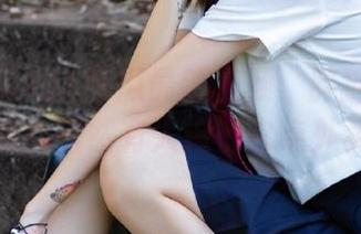 51吃瓜最新视频：胖猫闯入美食界，居然有人追着它点外卖？