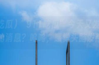 “911吃瓜”今天又发布啥新鲜的消息？呜呜，感觉头脑发热！