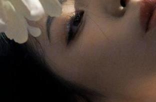 有人说‘hlw.bet’是宠物界的‘尴尬时刻’，我分分钟被治愈得不要不要的！