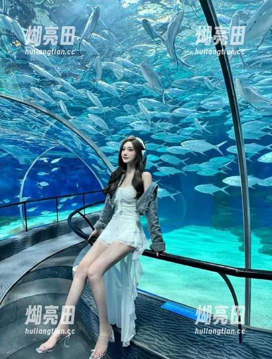 zztt 在zztt26这网站徘徊,时间和脑细胞都被榨光了