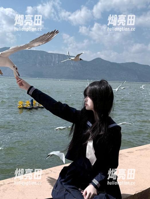 在线追踪朝阳“吃瓜网”，看瓜群众的智慧与无知碰撞